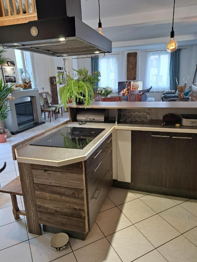 Gite Redrooster Home - 160M2, 4 Ch, 2 Sdb, Fibre, Parking, Sauna, Bain A Remous Theys 외부 사진